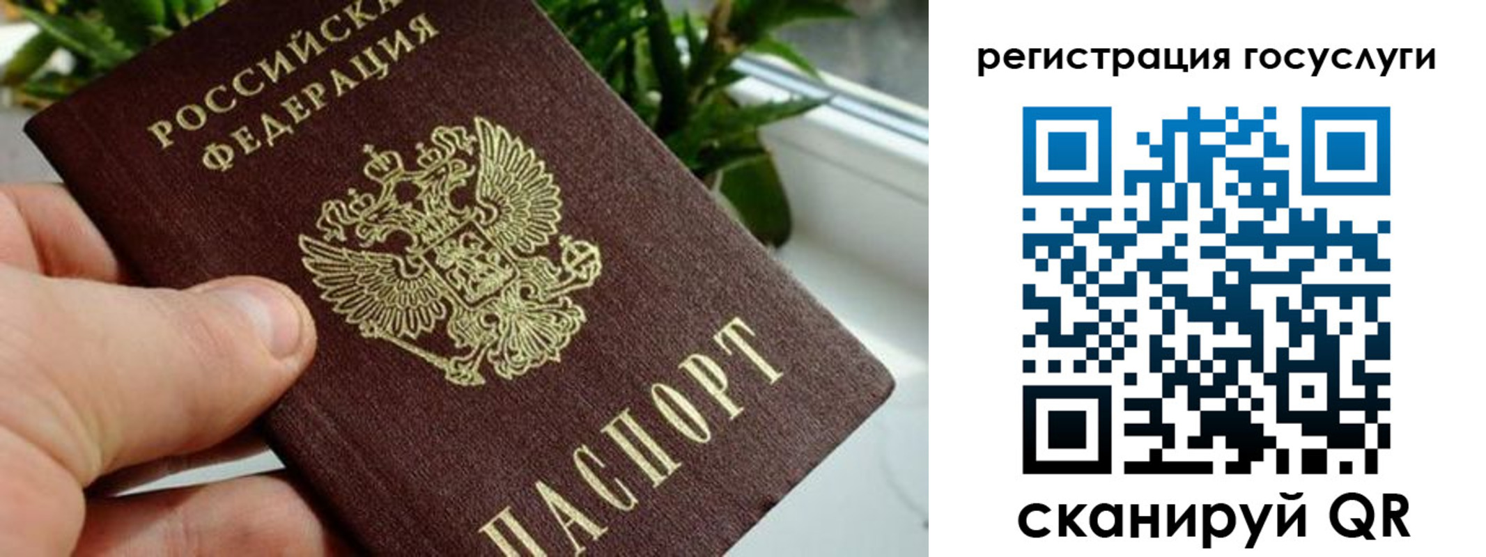 прописка для кредита в Сураже